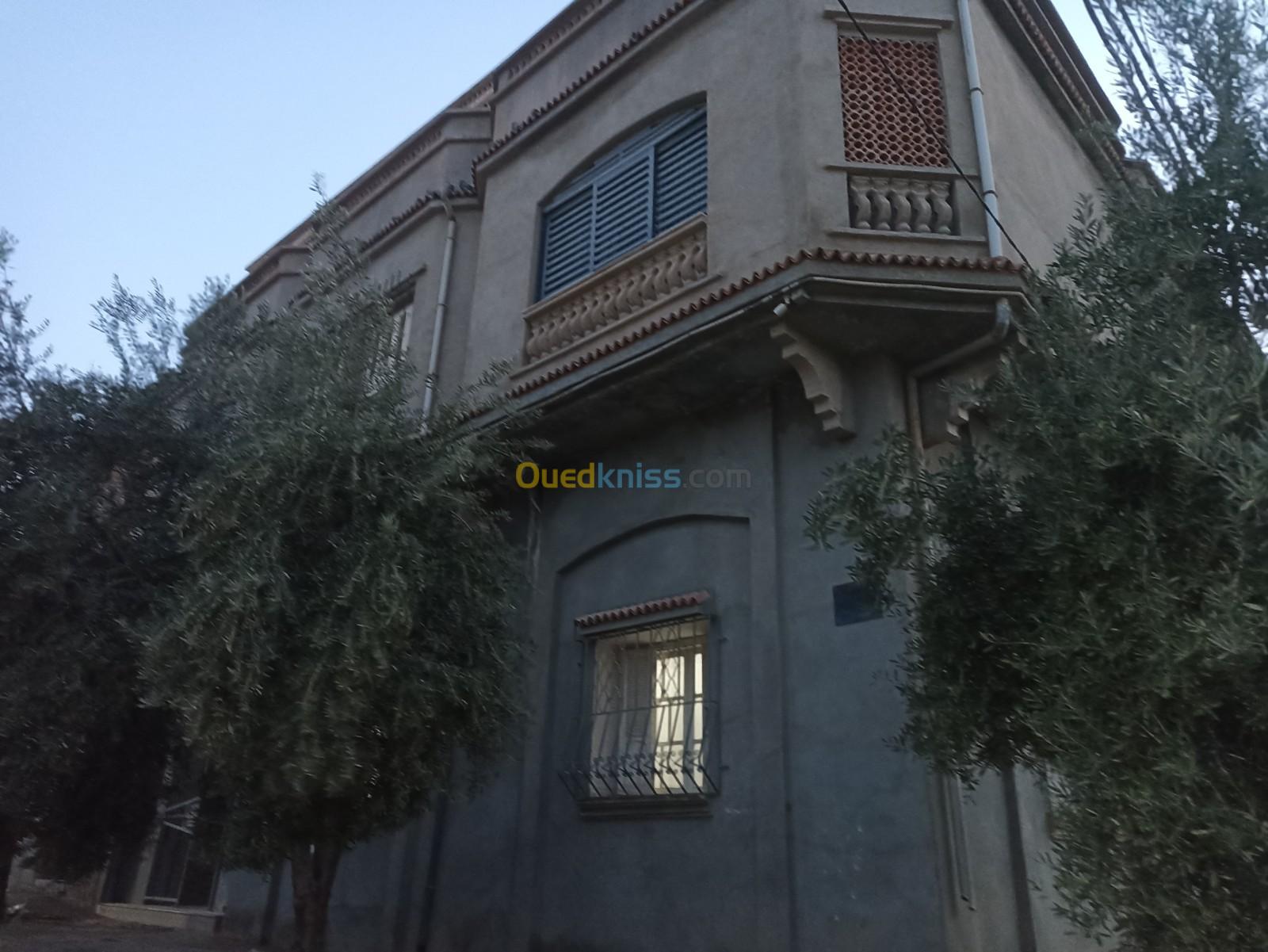 Vente Villa Sidi bel abbes Sidi ali benyoub