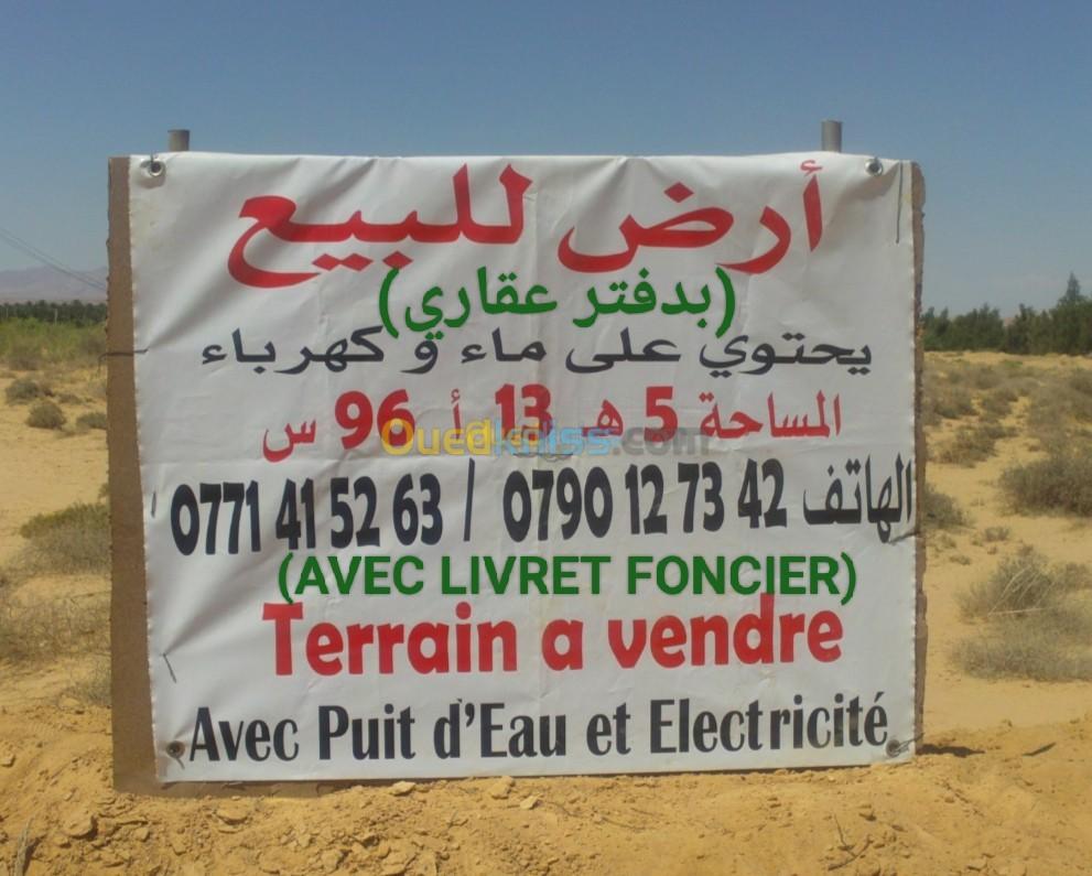 Vente Terrain Biskra Sidi okba