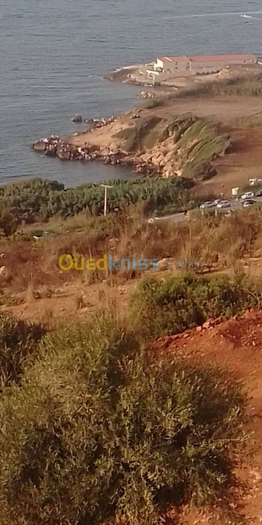 Vente Terrain Tipaza Ain tagourait