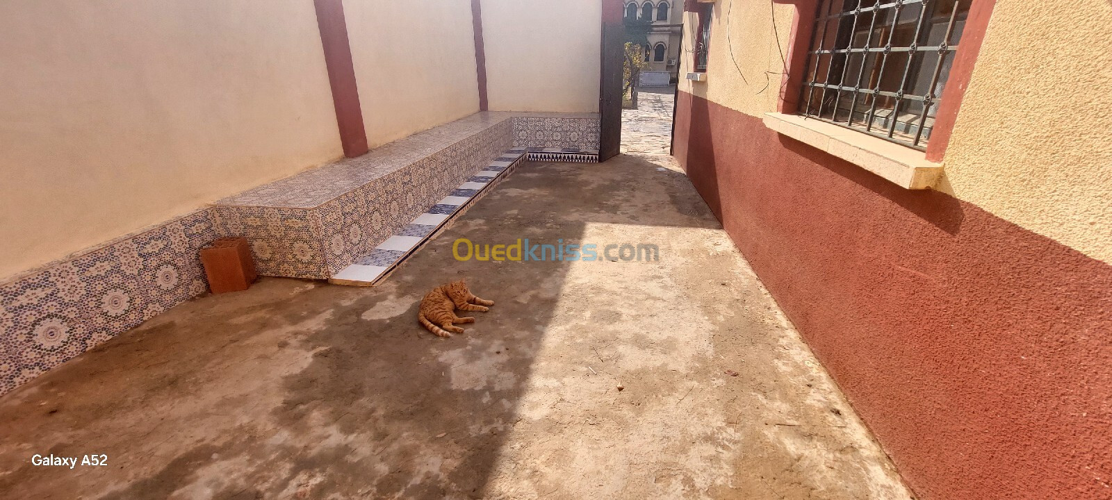 Location Appartement F3 Alger Bouzareah