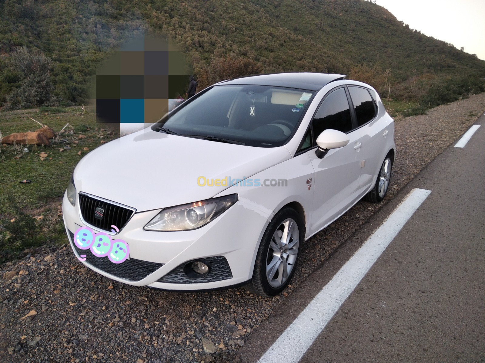 Seat Ibiza 2011 Loca