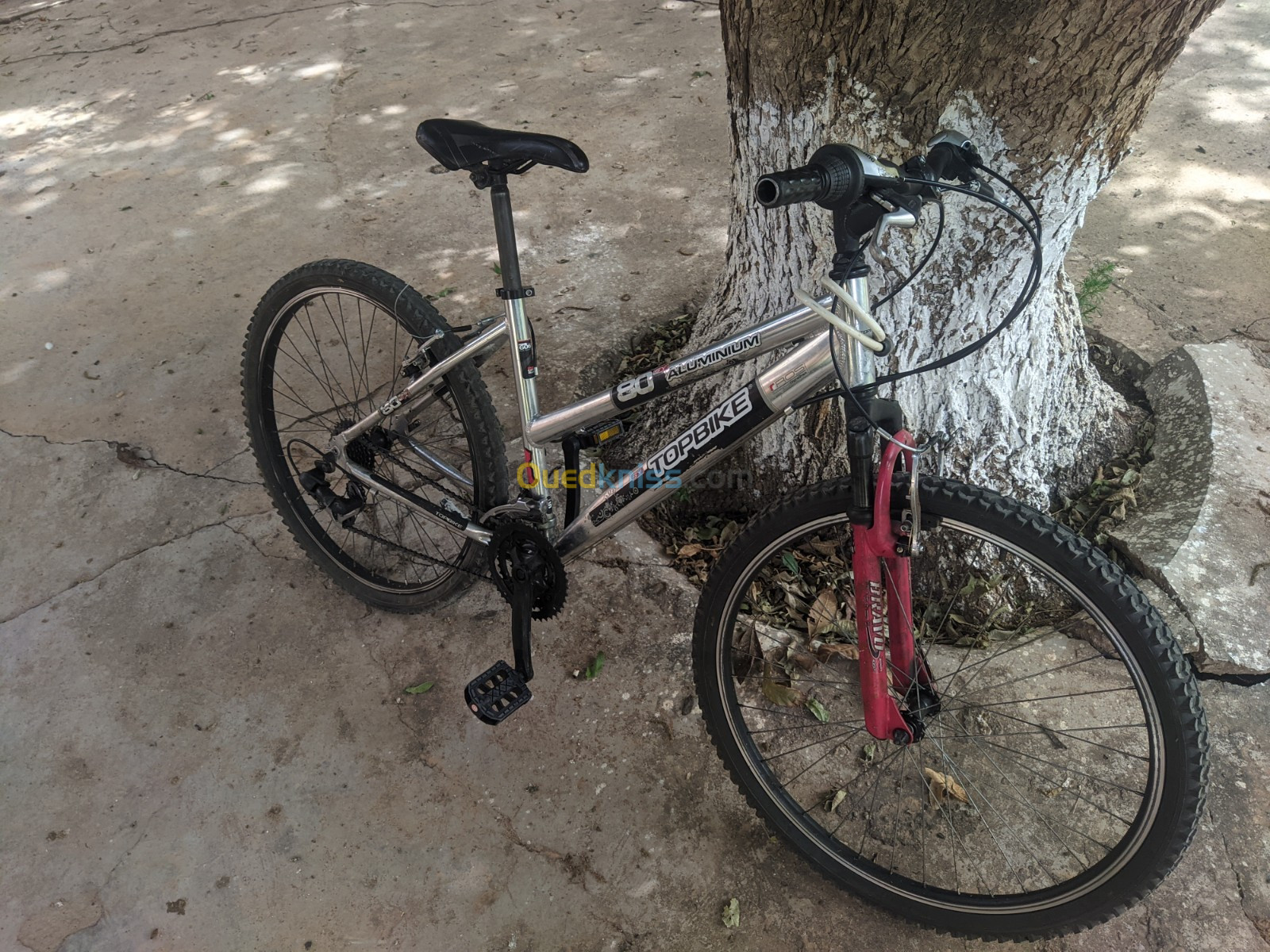 Vélo TopBike prix intéressent