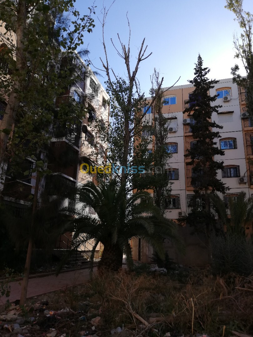 Vente Appartement F3 Alger Les eucalyptus