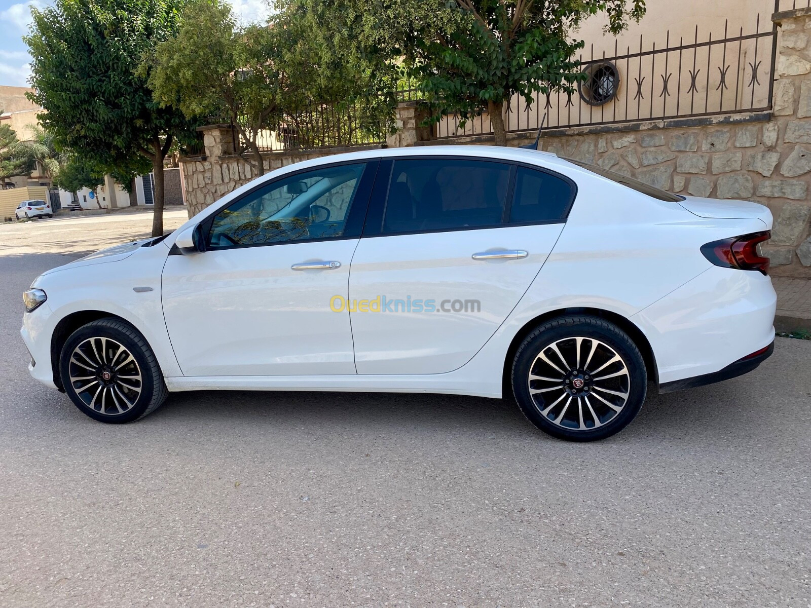 Fiat Tipo 2023 Live