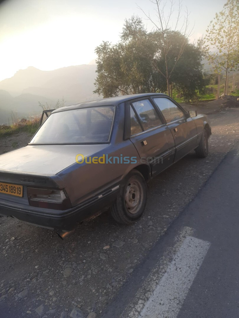 Peugeot 505 1989 505