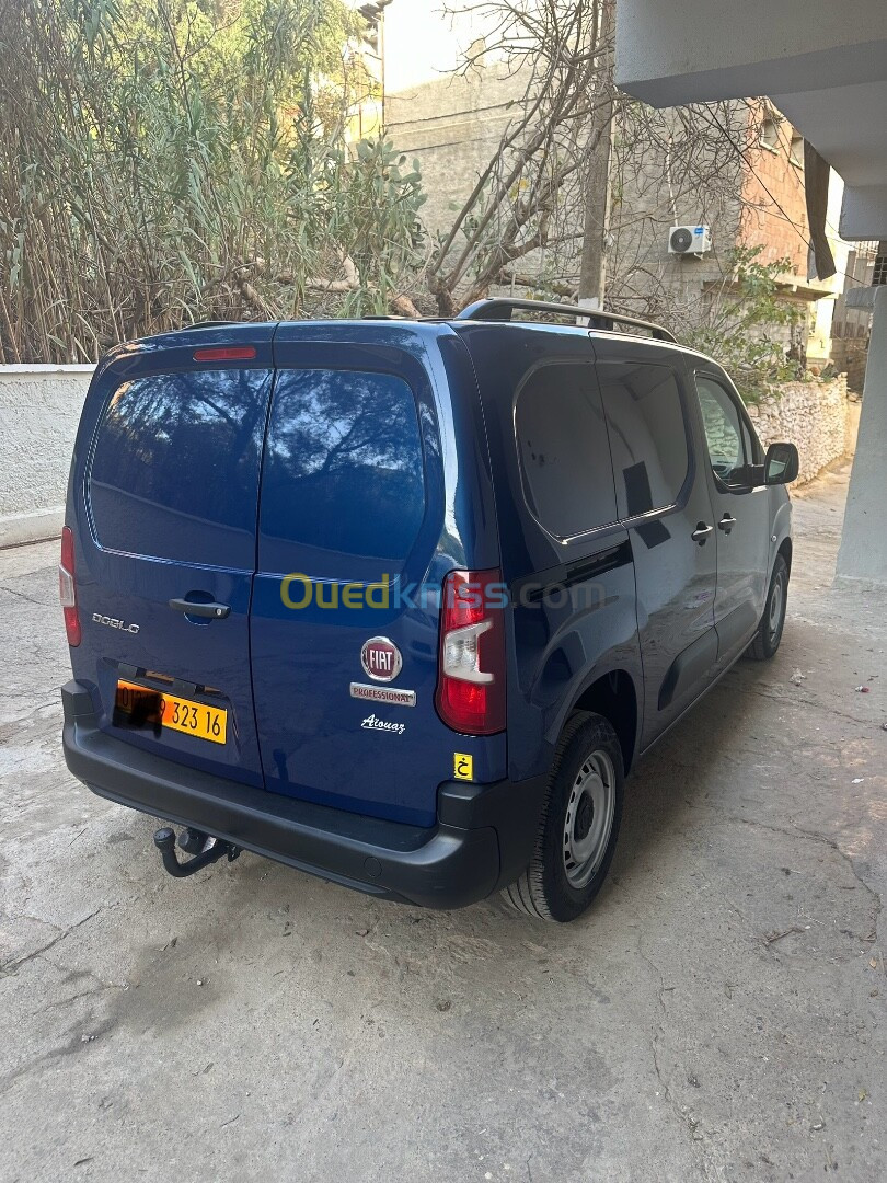 Fiat Doblo 2023 Professional