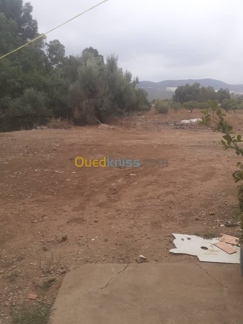 Vente Terrain Blida Bouinan