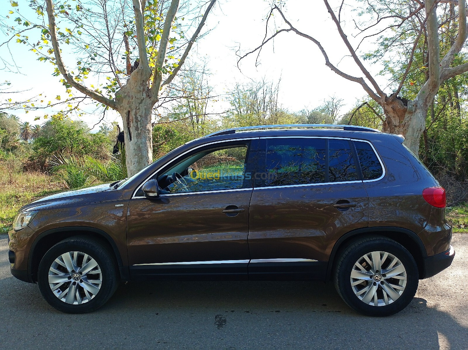 Volkswagen Tiguan 2013 Life