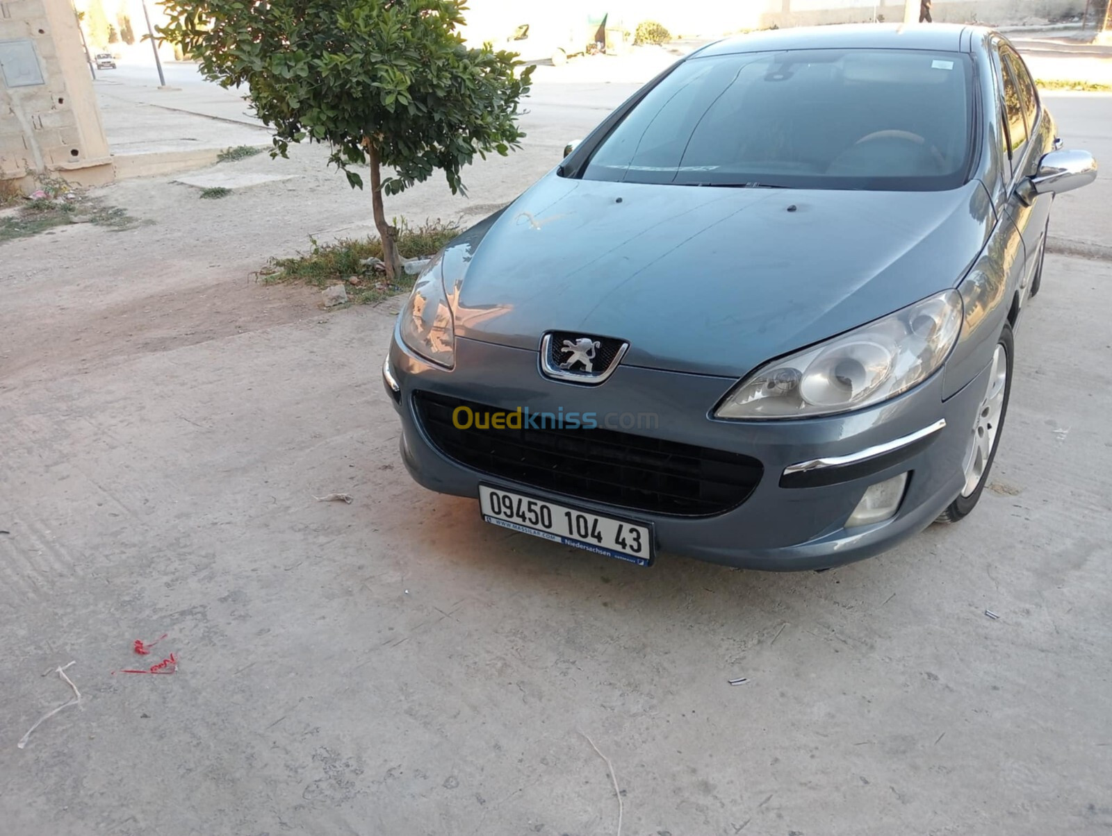 Peugeot 407 2004 407