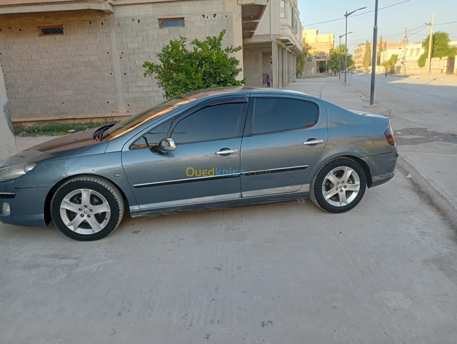 Peugeot 407 2004 407