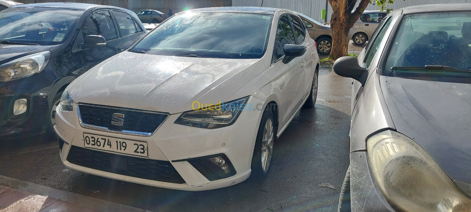 Seat Ibiza 2019 