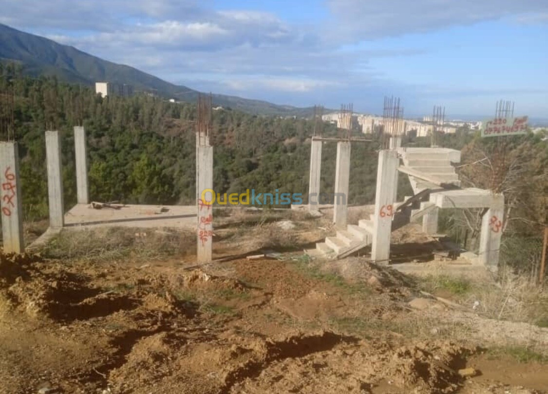 Vente Terrain Blida Bouinan