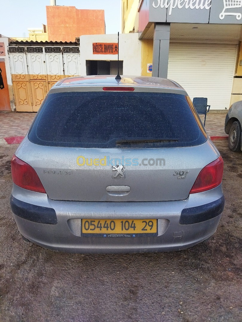 Peugeot 307 2004 307