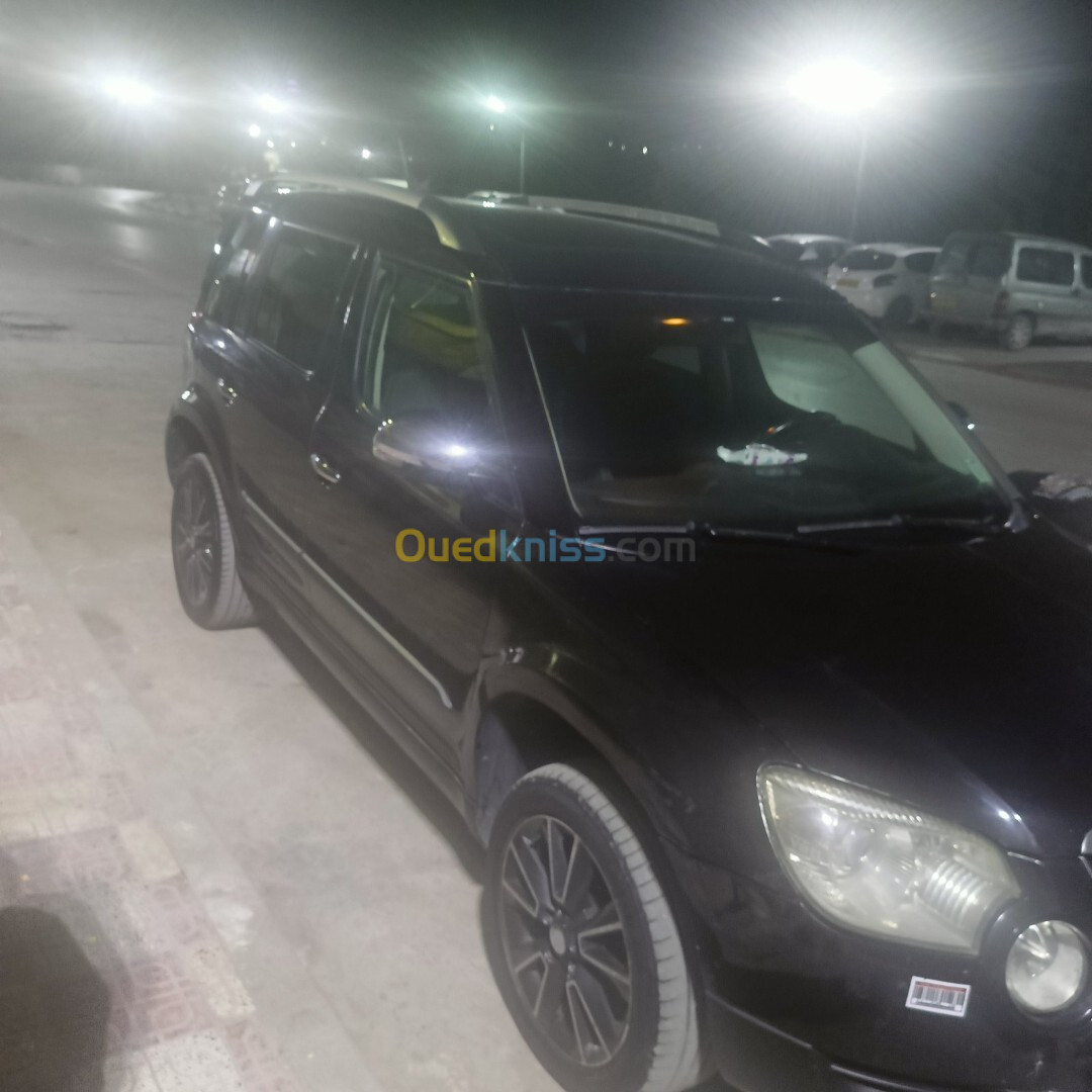 Skoda Yeti 2013 Yati