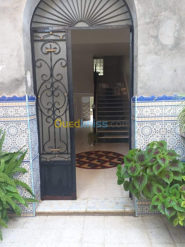 Vente Villa Blida Beni tamou