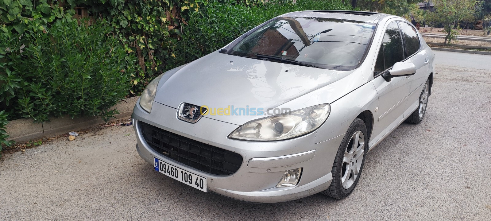 Peugeot 407 2009 