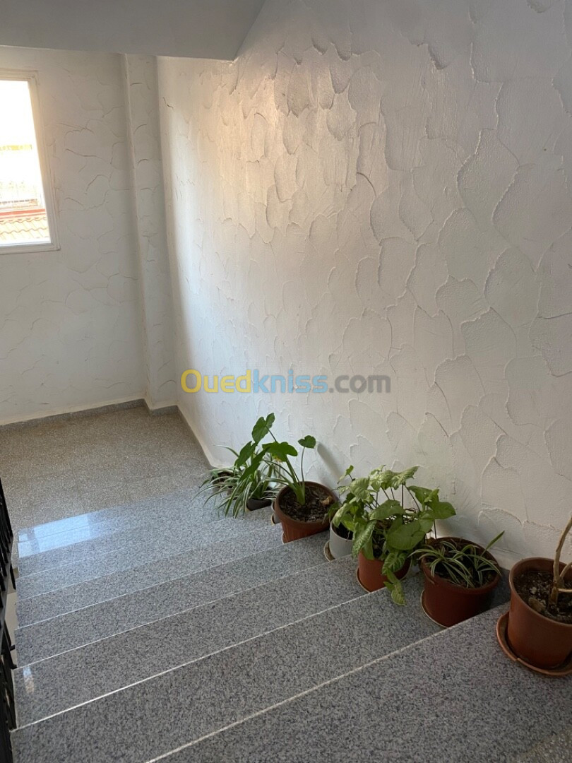 Vente Appartement F3 Alger Birkhadem