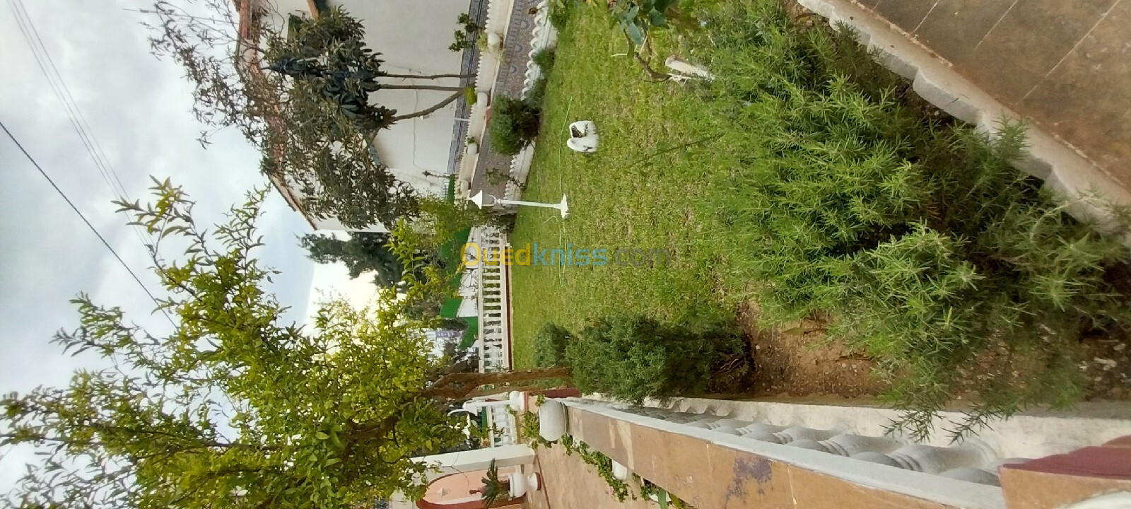 Location Villa Alger Bouzareah