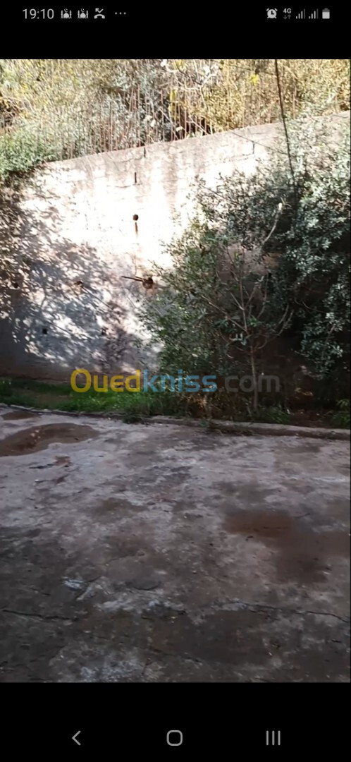 Location Niveau De Villa F2 Alger Bouzareah