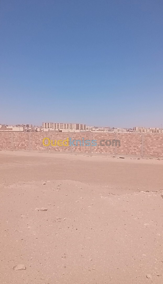 Vente Terrain Ouargla Sidi khouiled