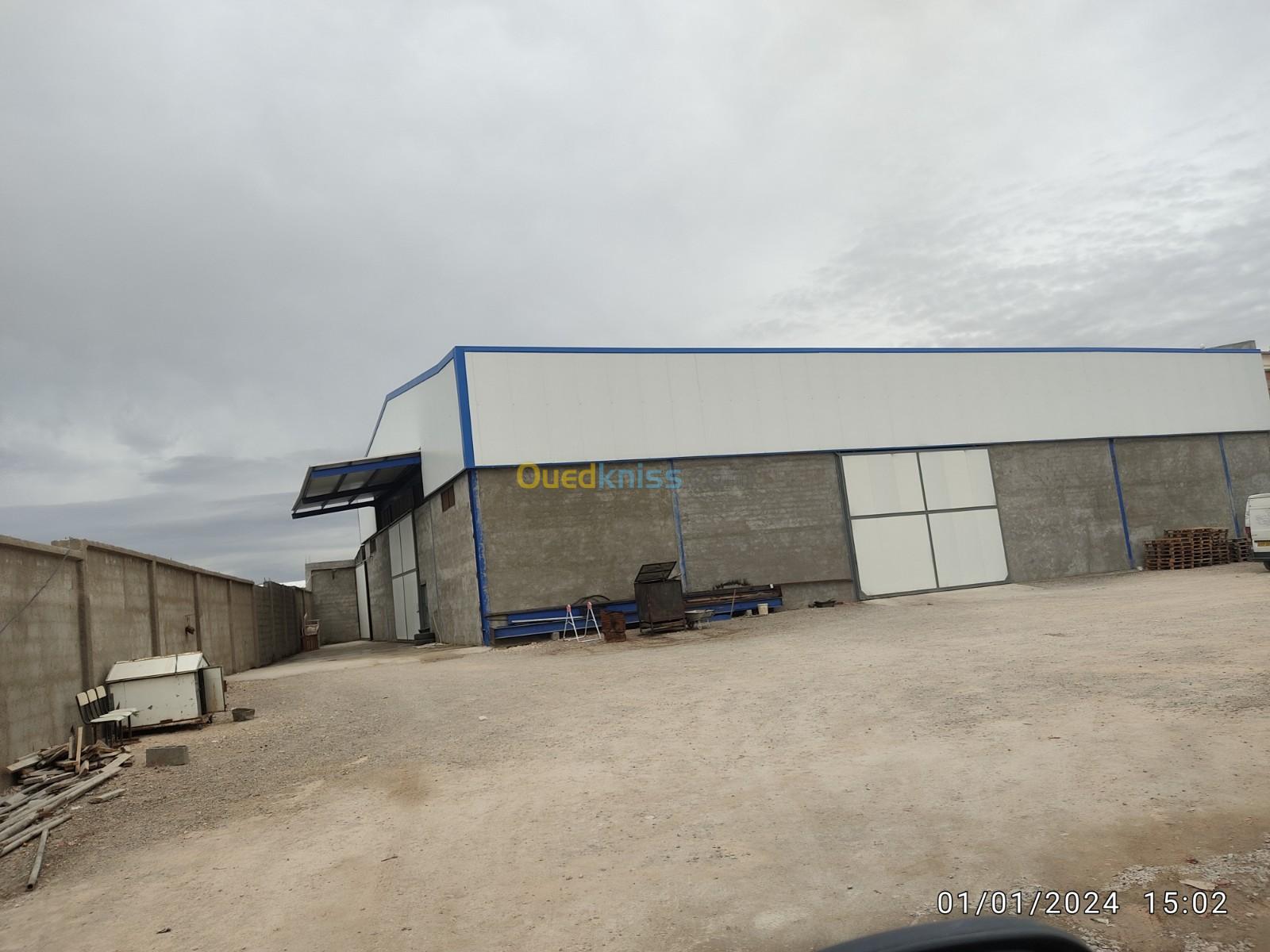 Location Hangar Sétif Ain arnat