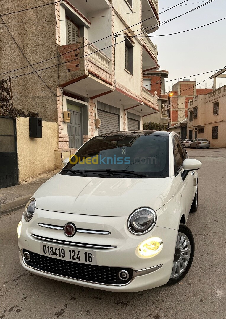 Fiat 500 2024 Club