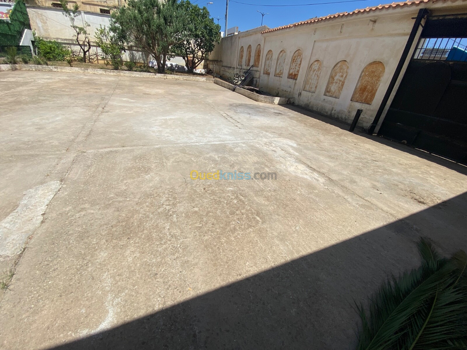 Vente Terrain Alger Saoula