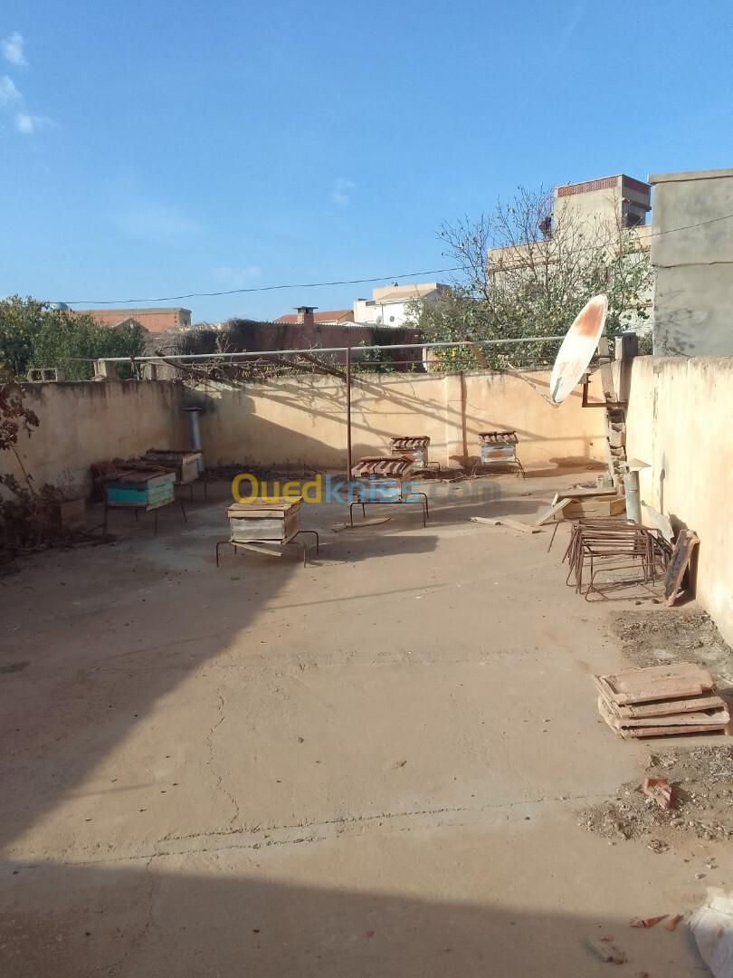 Vente Villa Sidi Bel Abbès Sidi bel abbes