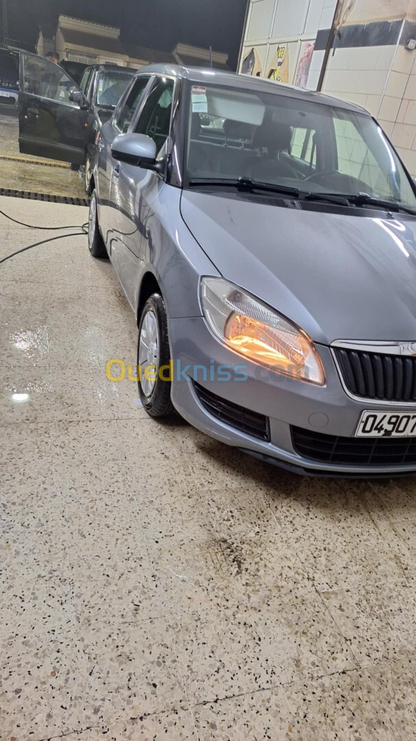 Skoda Fabia 2013 