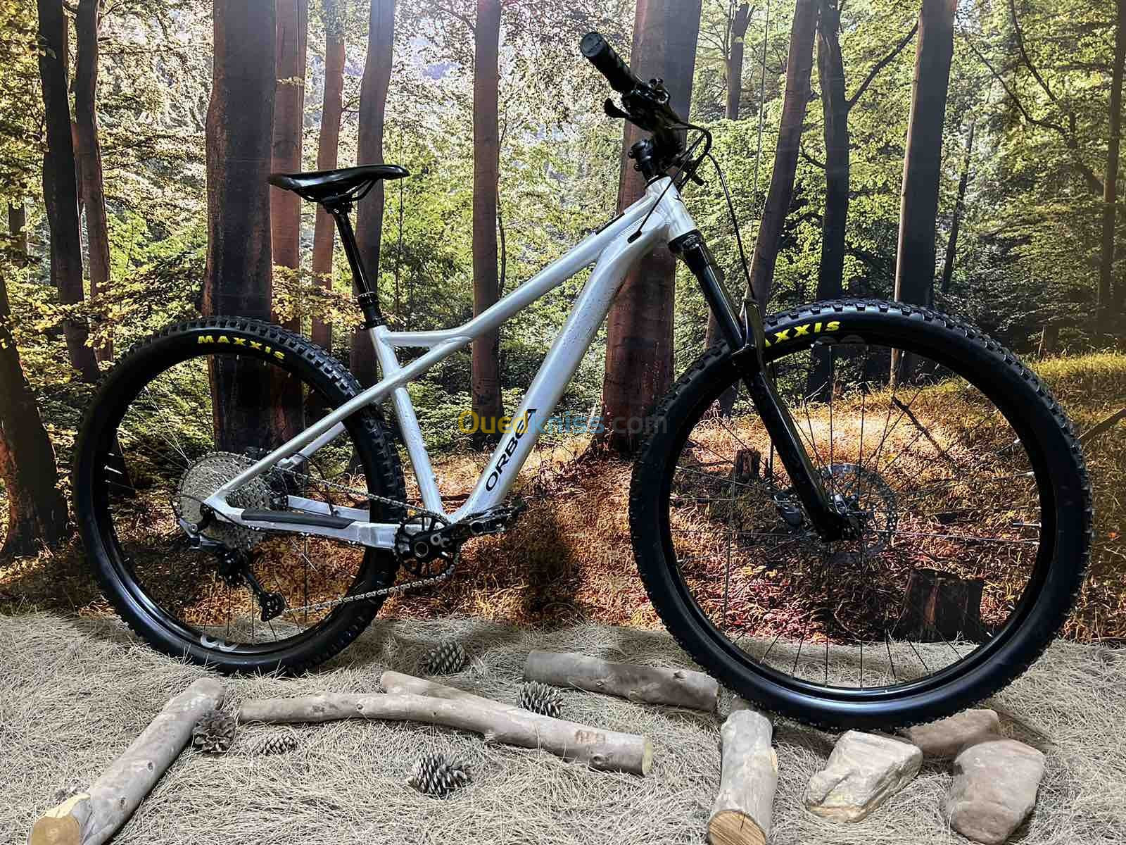 Vélo VTT endurigide Orbea Luffy 29" L