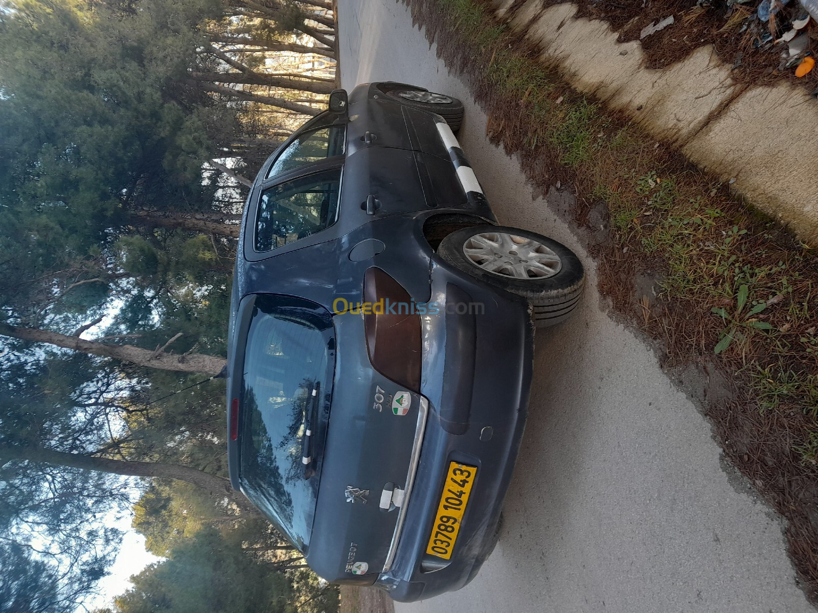 Peugeot 307 2004 307