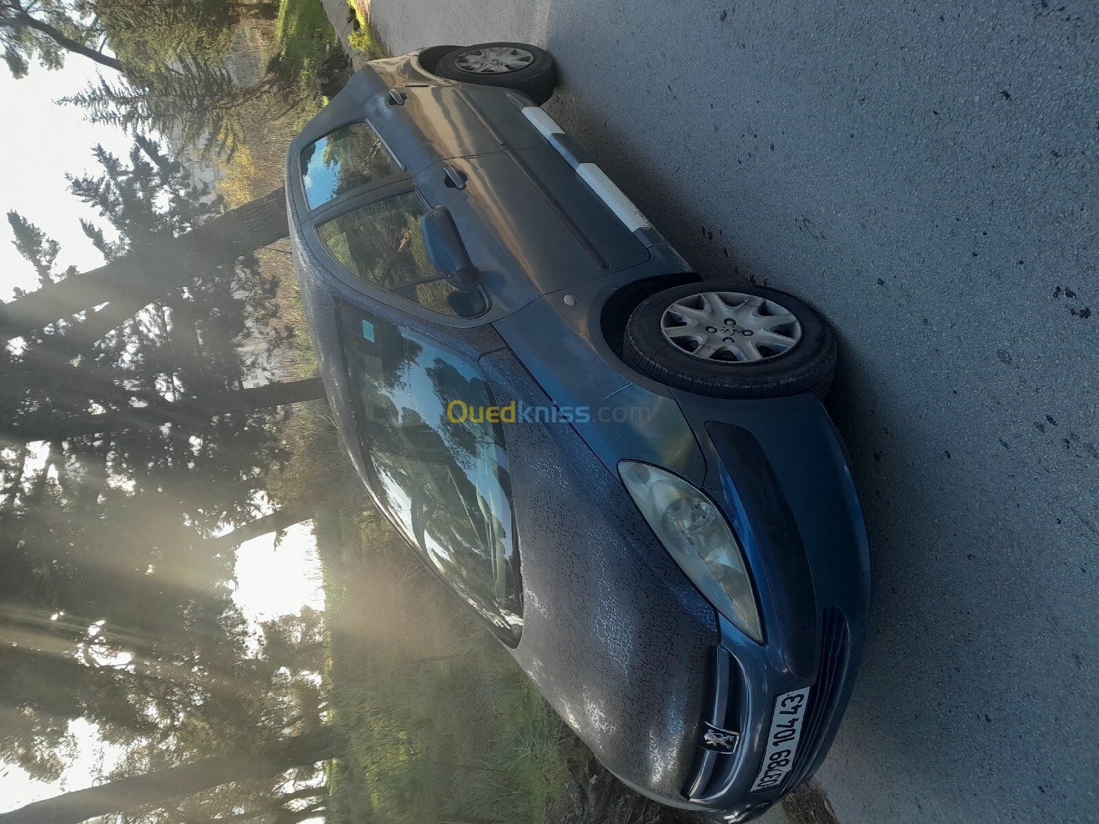 Peugeot 307 2004 307