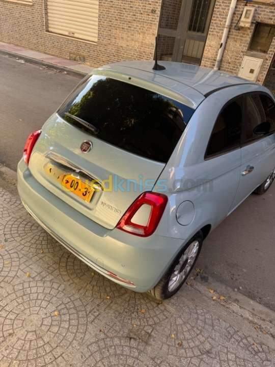 Fiat 500 2024 500