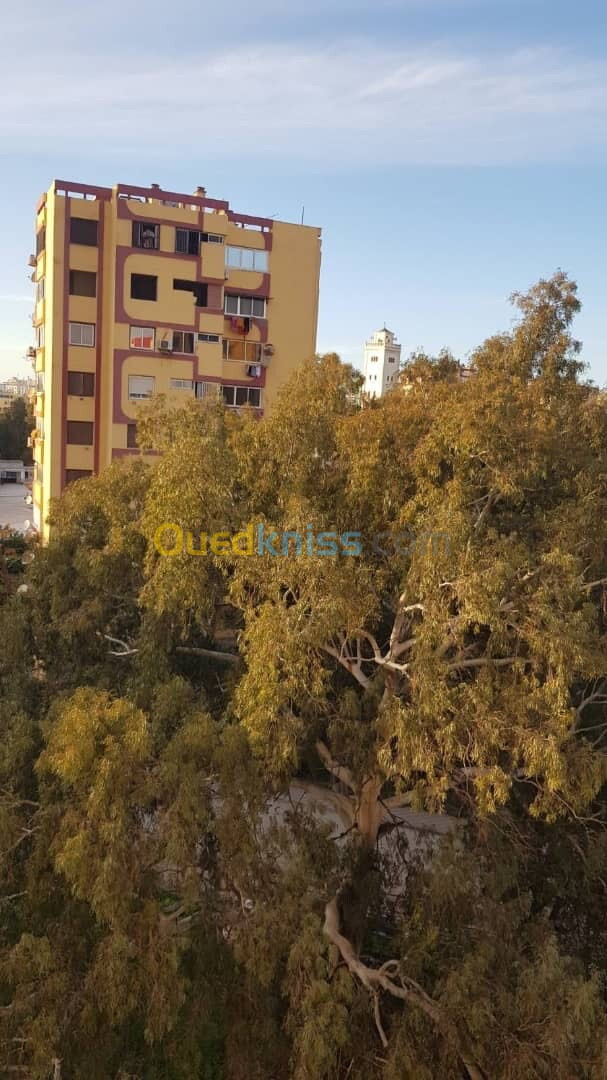 Vente Appartement F3 Alger Bab ezzouar