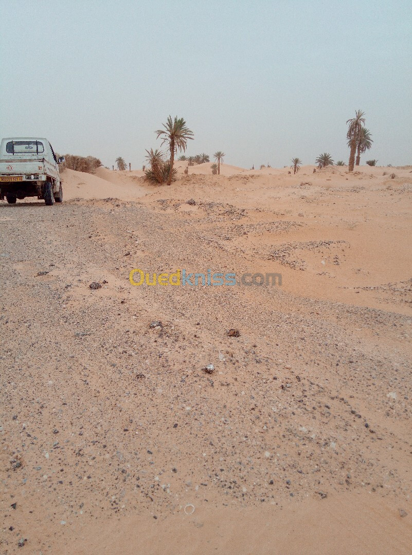 Vente Terrain Ouargla Ngoussa