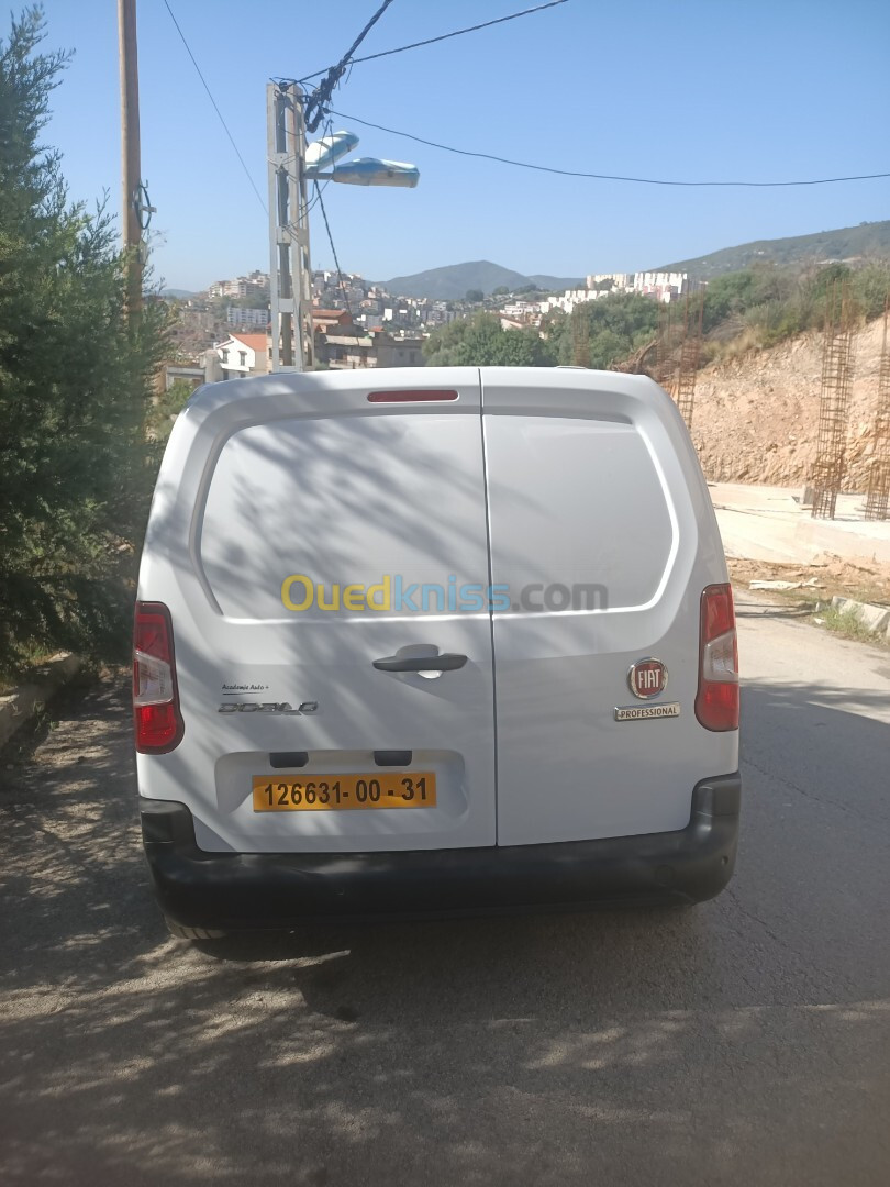 Fiat Professional Doblo 2024 