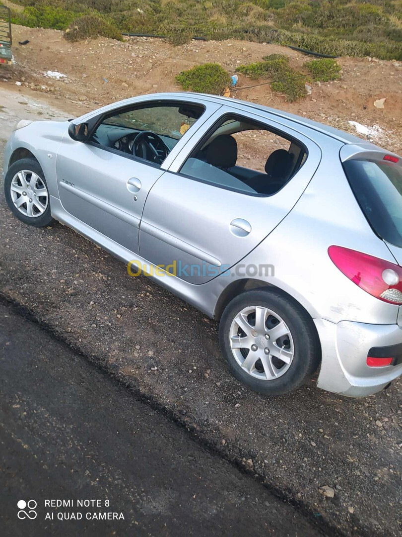 Peugeot 206 Plus 2010 206 Plus