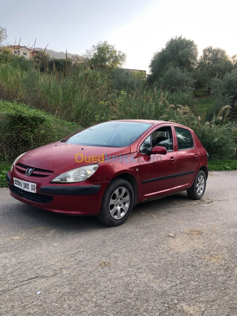 Peugeot 307 2002 XT