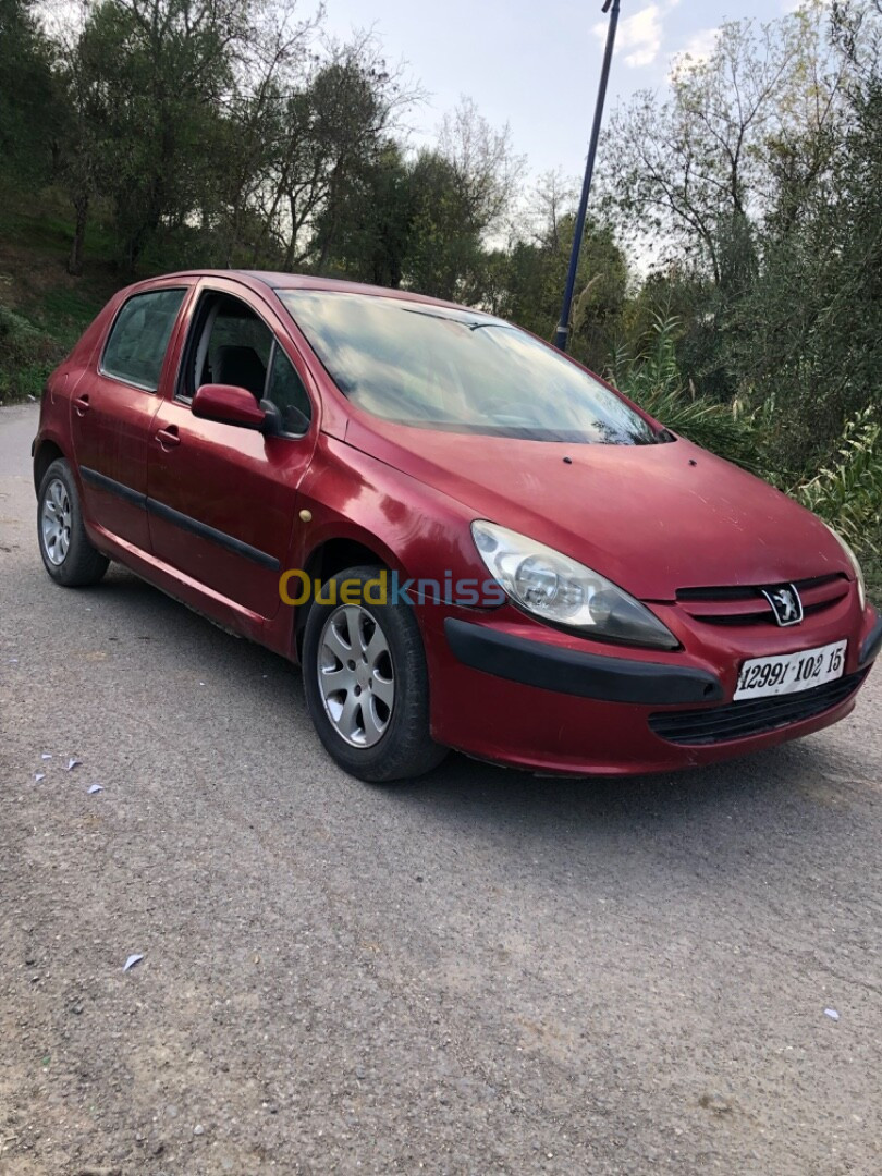 Peugeot 307 2002 XT