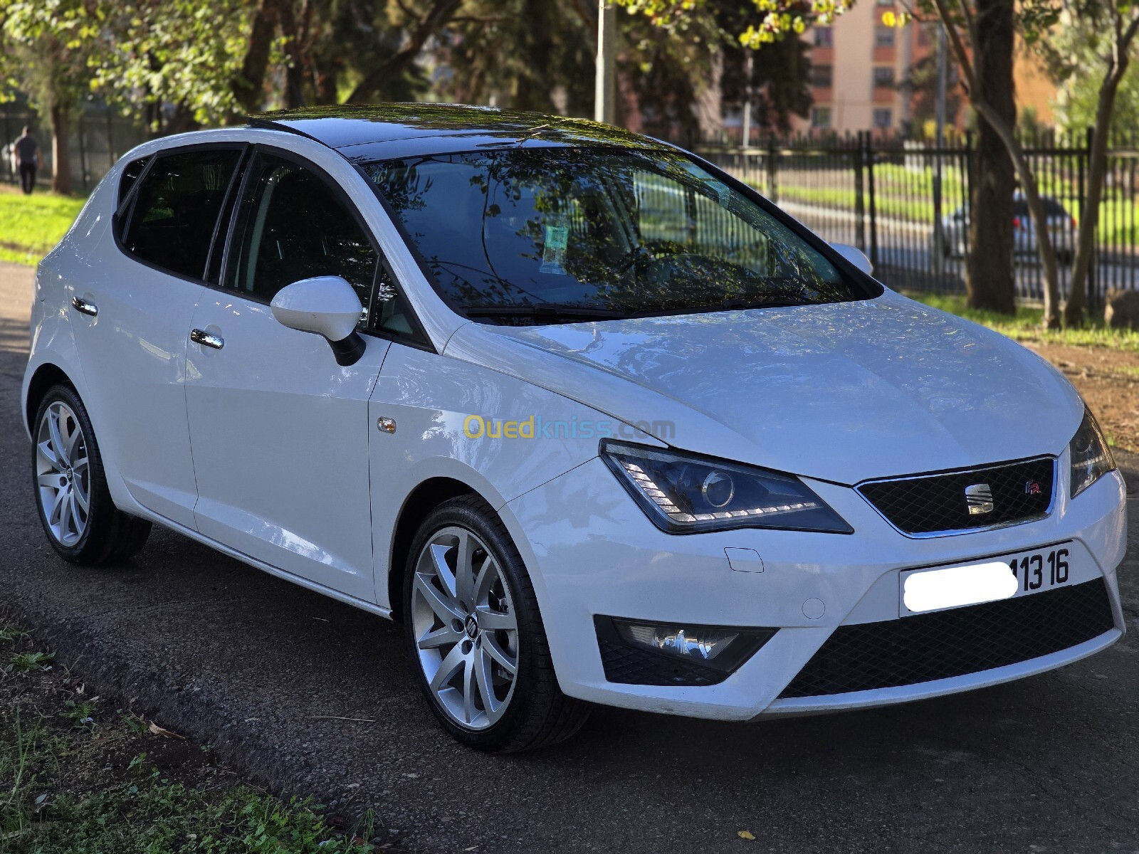 Seat Ibiza 2013 Ibiza