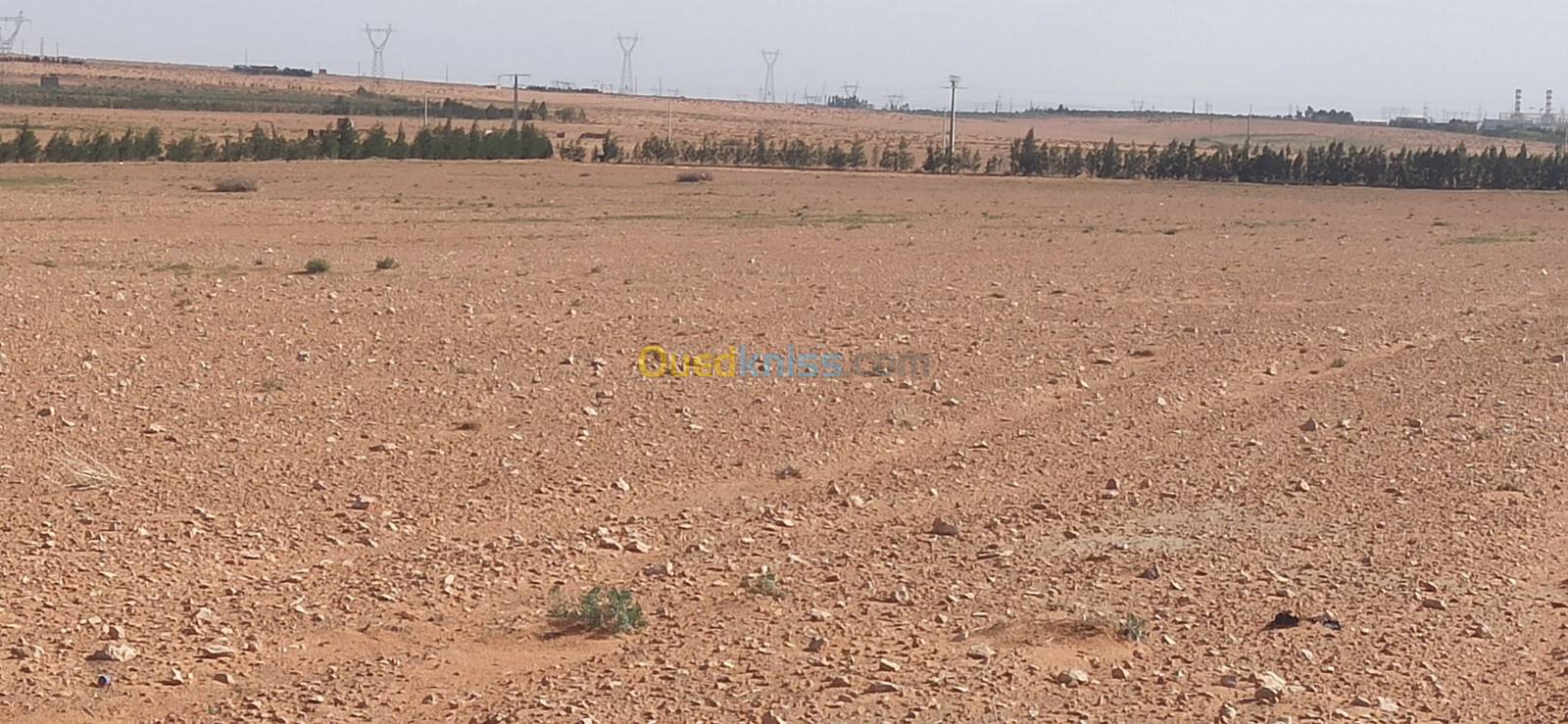 Vente Terrain Agricole Djelfa Ain oussara