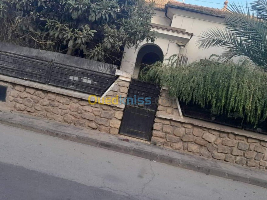 Vente Villa Sidi Bel Abbès Sidi bel abbes