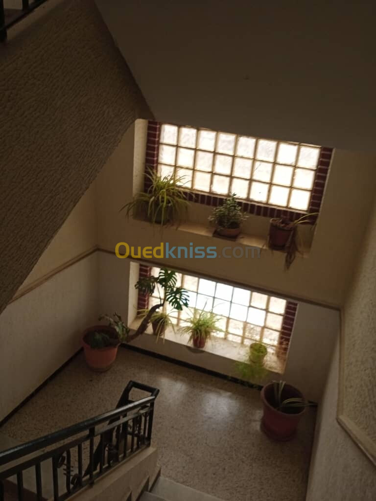 Location Appartement F3 Alger Bouzareah