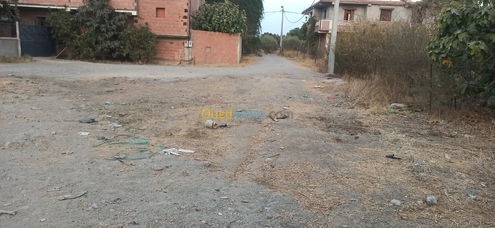 Vente Terrain Blida Bouinan