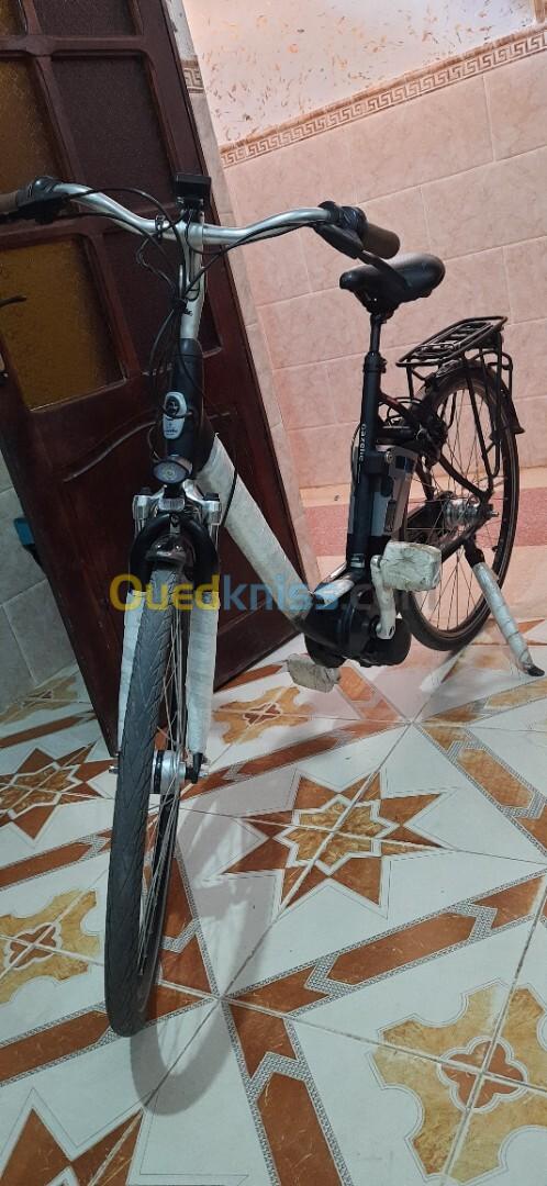 Gazelle Velo Electrique Classique 2024 Bechar Algerie