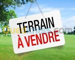 Vente Terrain Alger Bordj el bahri