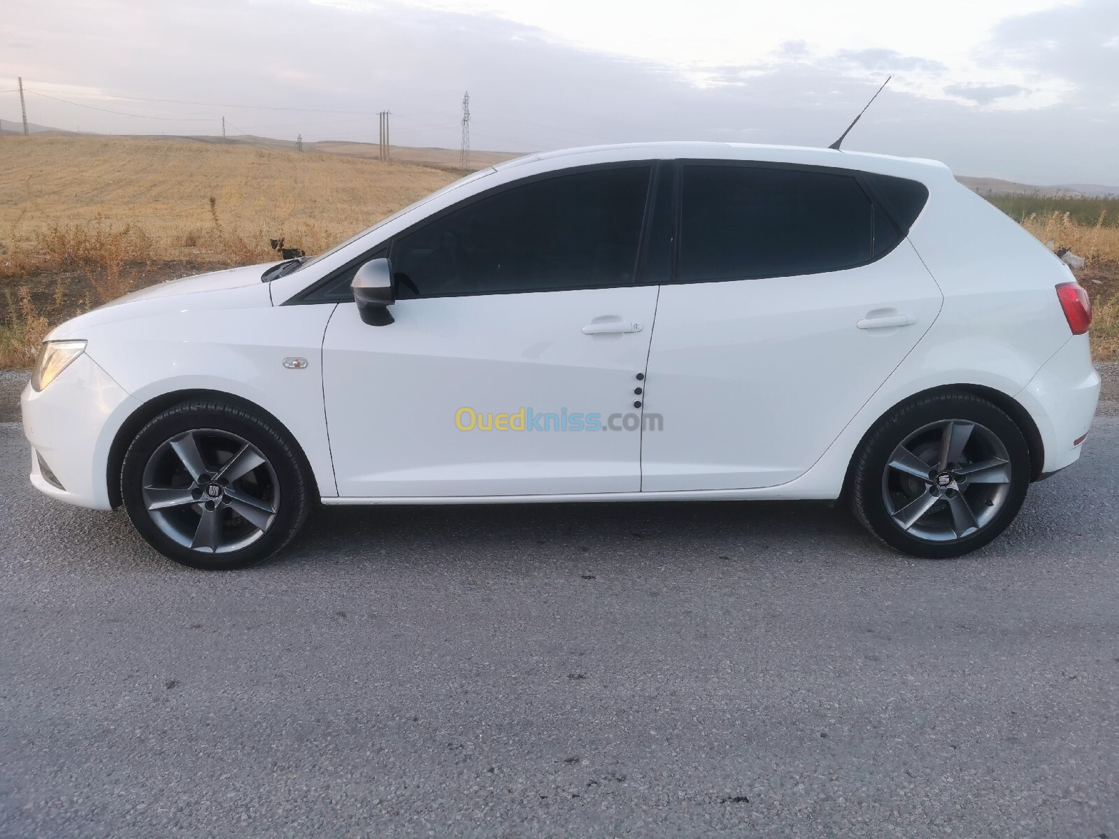 Seat Ibiza 2016 Titanium Pack