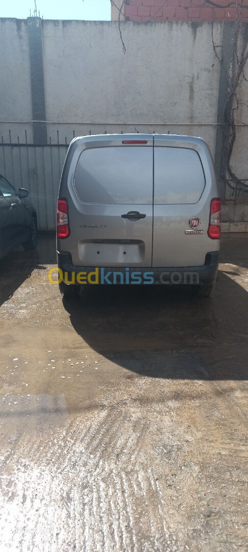 Fiat Doblo 2024 Professional