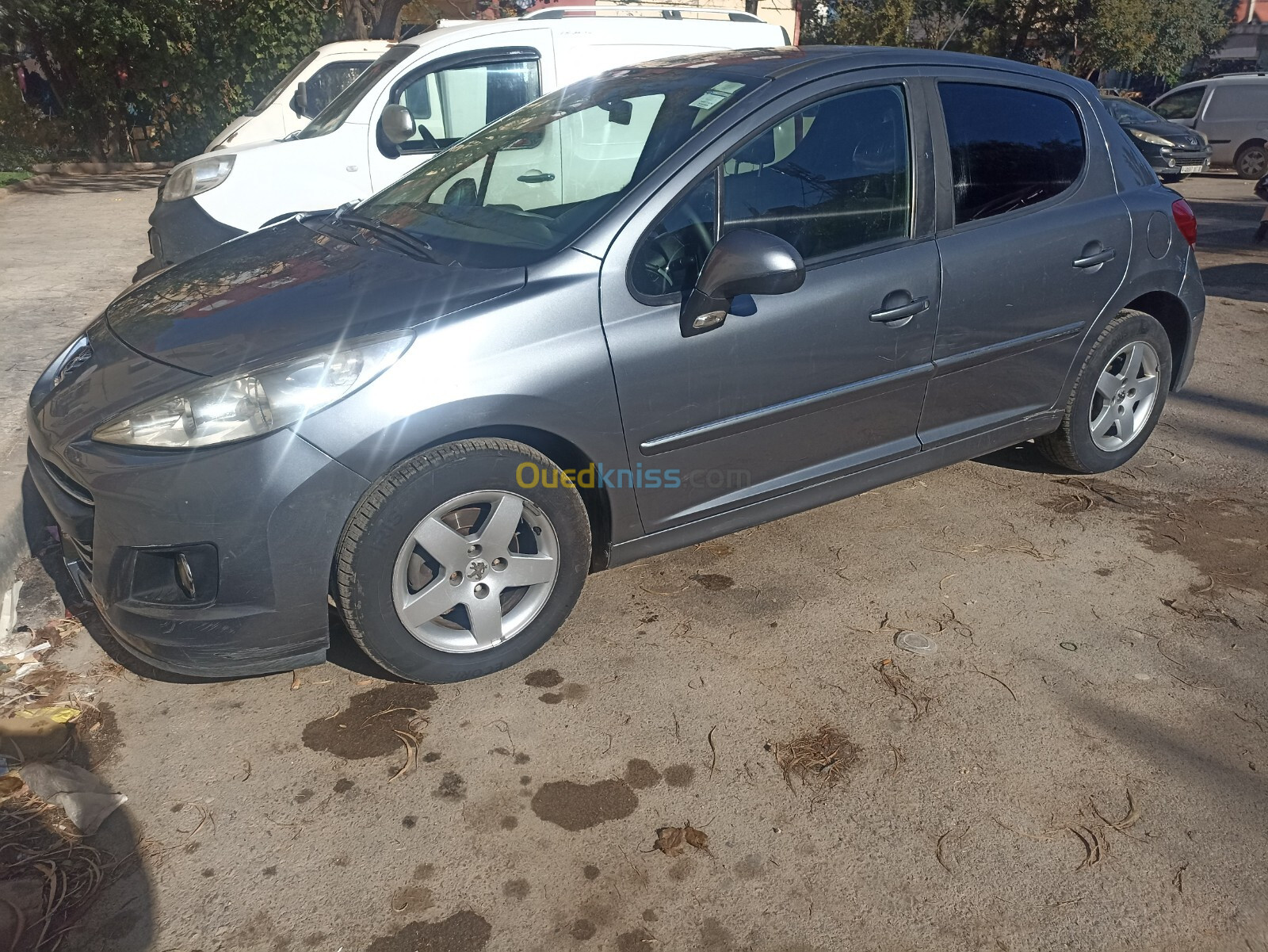 Peugeot 207 2010 