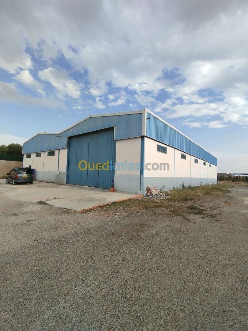 Location Hangar Sétif Ouled sabor